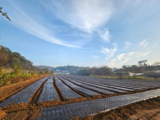 홍산농부님의 11월 내 작물 자랑하기 · 참여글 작성글 사진