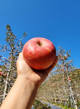 호랑이와인성이님의 작성글 사진