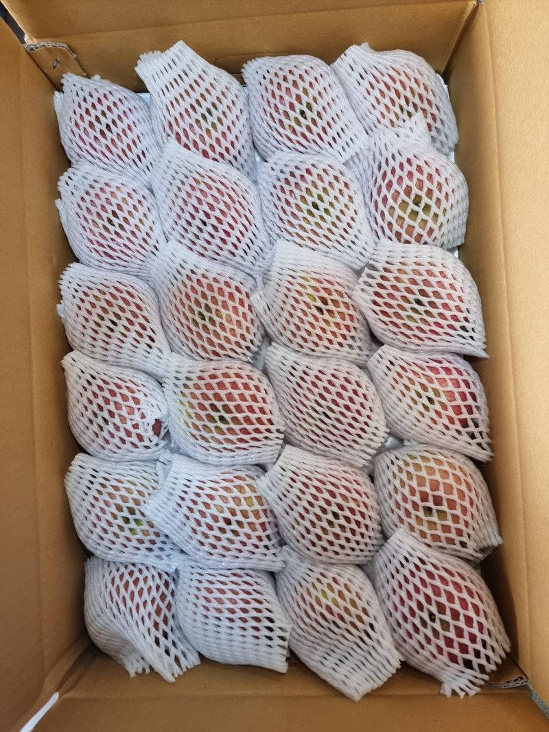 호랑이와인성이님의 장터 판매 상품 [미안마부사 한정 판매 ] 첨부 사진