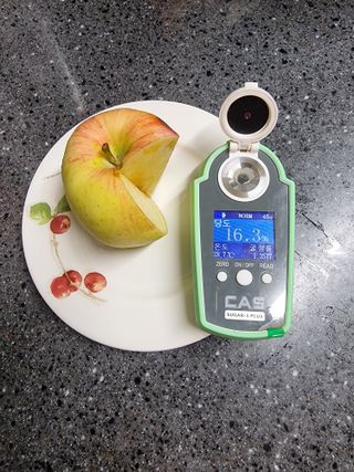 호랑이와인성이님의 작성글 사진