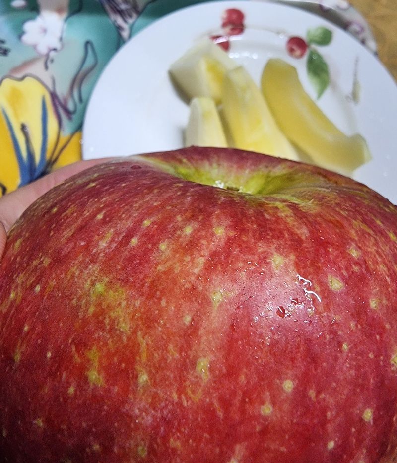 호랑이와인성이님의 장터 판매 상품 [ 봉화부사 사과5k] 첨부 사진