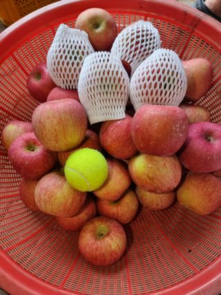 호랑이와인성이님의 작성글 사진