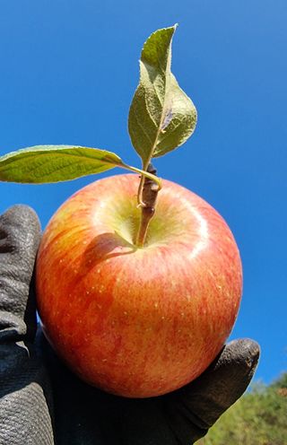 호랑이와인성이님의 작성글 사진