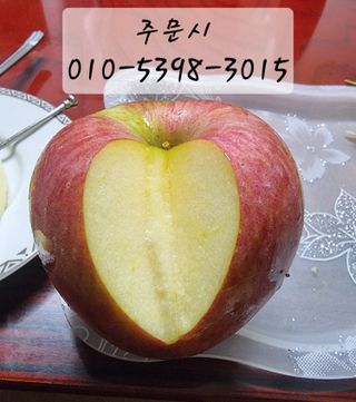 호랑이와인성이님의 작성글 사진