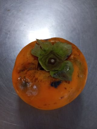 박월순님의 감 · 병해충상담 작성글 사진