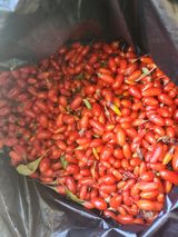 팜모닝 11월 내 작물 자랑하기·참여글 게시글 이미지