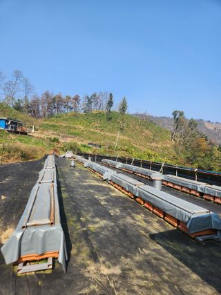 고영희님의 11월 내 작물 자랑하기 · 참여글 작성글 사진