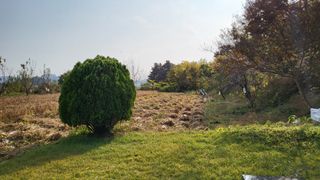 김상년님의 콩 · 영농일지 작성글 사진