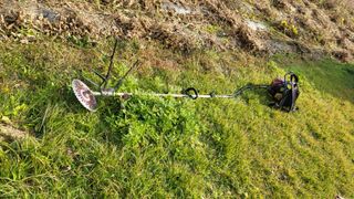 김상년님의 콩 · 영농일지 작성글 사진