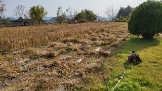 김상년님의 콩 · 영농일지 작성글 사진