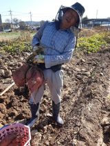 팜모닝 11월 내 작물 자랑하기·참여글 게시글 이미지