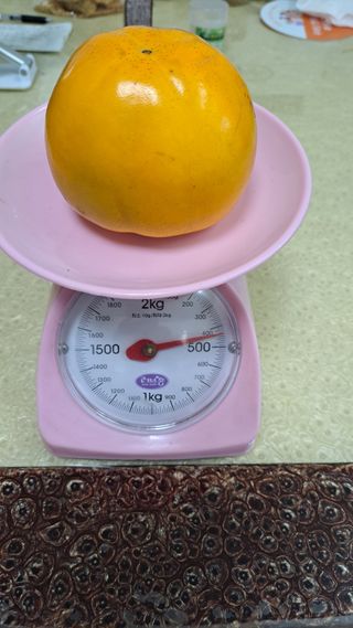 주윤발이님의 감 · 자유게시판 작성글 사진