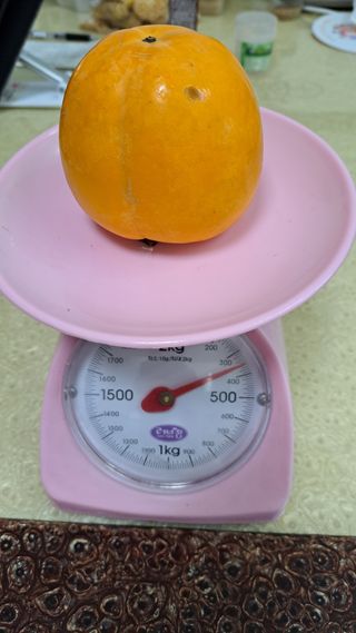 주윤발이님의 감 · 자유게시판 작성글 사진