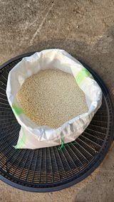 팜모닝 · 게시글 이미지