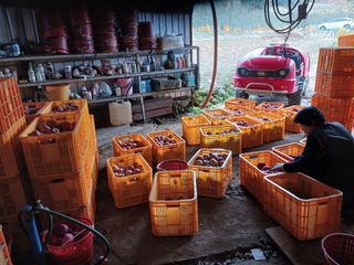 알 수 없음님의 자유주제 · 자유게시판 작성글 사진