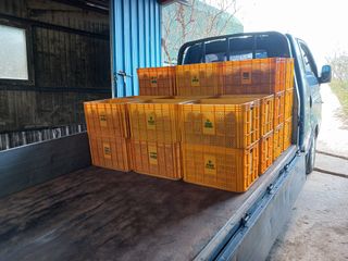 알 수 없음님의 자유주제 · 자유게시판 작성글 사진