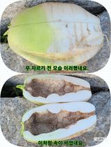 팜모닝 자유주제·자유게시판 게시글 이미지