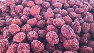 우창농원님의 11월 내 작물 자랑하기 · 참여글 작성글 사진