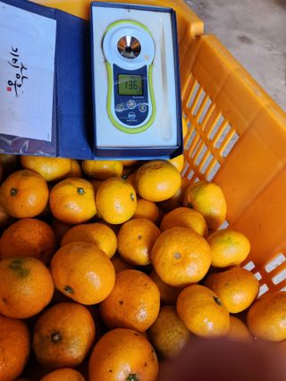 조상균님의 11월 내 작물 자랑하기 · 참여글 작성글 사진