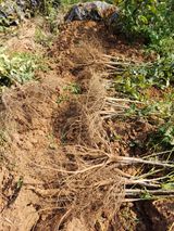 팜모닝 · 게시글 이미지