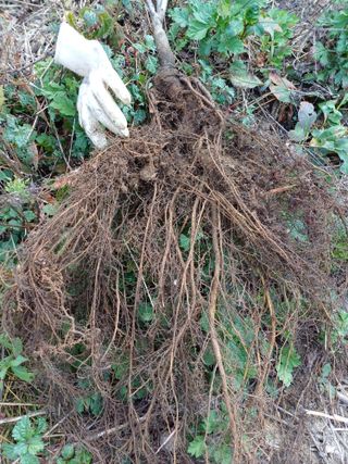 까두까두 님의 작성글 사진