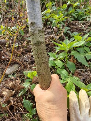 까두까두 님의 작성글 사진