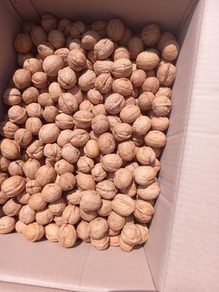 까두까두 님의 작성글 사진