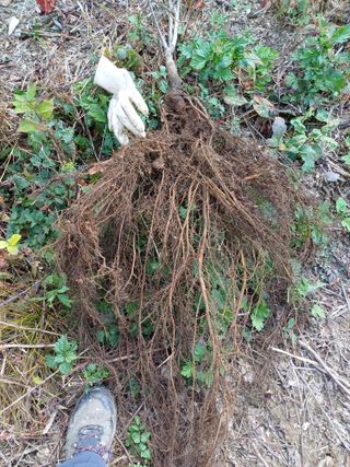 까두까두 님의 작성글 사진