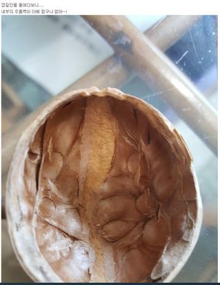 까두까두 님의 작성글 사진