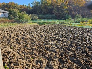 설아농원님의 복숭아 · 영농일지 작성글 사진
