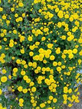 팜모닝 자유주제·자유게시판 게시글 이미지