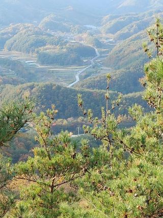 숲속의사나이님의 자유주제 · 자유게시판 작성글 사진