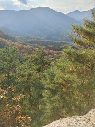 숲속의사나이님의 자유주제 · 자유게시판 작성글 사진