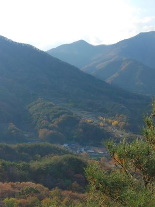 숲속의사나이님의 자유주제 · 자유게시판 작성글 사진