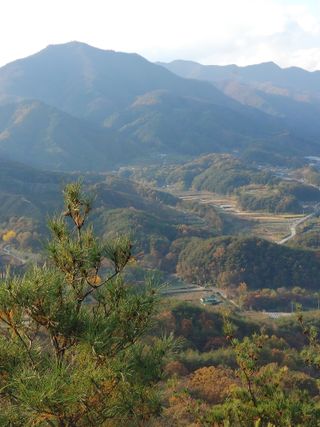 숲속의사나이님의 자유주제 · 자유게시판 작성글 사진