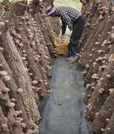 팜모닝 11월 내 작물 자랑하기·참여글 게시글 이미지