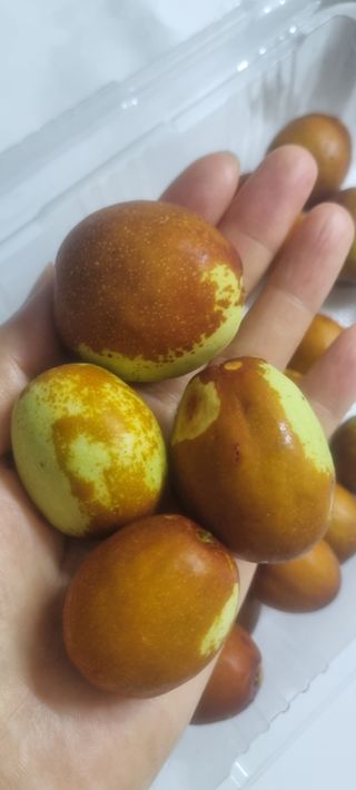 초월농원님의 11월 내 작물 자랑하기 · 참여글 작성글 사진