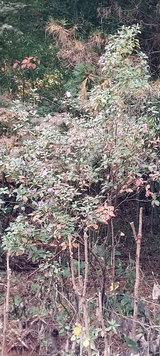 배추21924님의 자유주제 · 자유게시판 작성글 사진