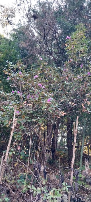 배추21924님의 자유주제 · 자유게시판 작성글 사진