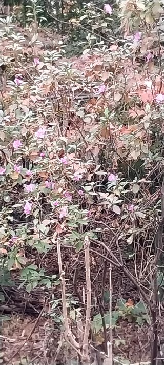 배추21924님의 자유주제 · 자유게시판 작성글 사진