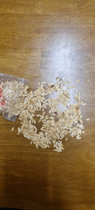 벤틀리 님의 11월 내 작물 자랑하기 · 참여글 작성글 사진