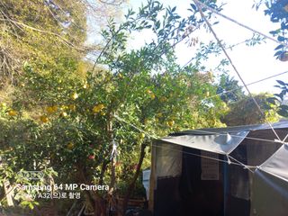 천운님의 자유주제 · 자유게시판 작성글 사진