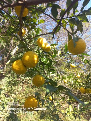 천운님의 자유주제 · 자유게시판 작성글 사진