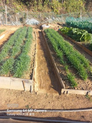 천운님의 자유주제 · 자유게시판 작성글 사진