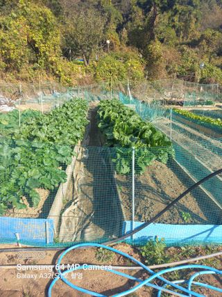 천운님의 자유주제 · 자유게시판 작성글 사진