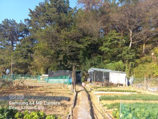 천운님의 자유주제 · 자유게시판 작성글 사진