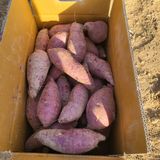 팜모닝 · 게시글 이미지