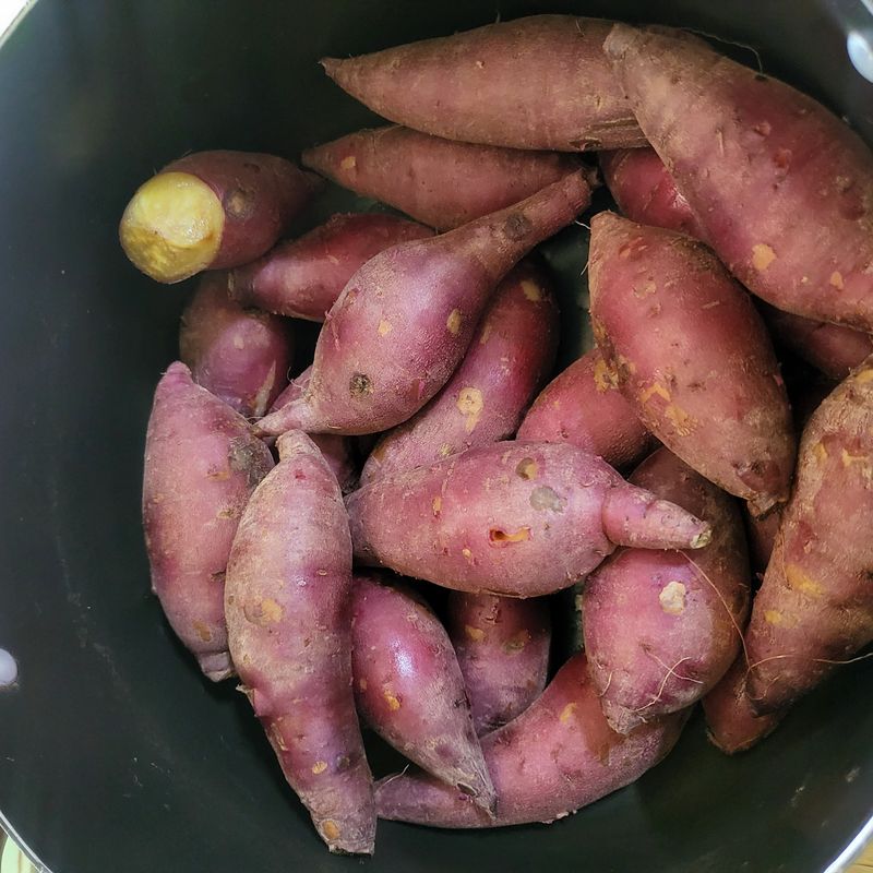 송명섭님의 장터 판매 상품 [꿀고구마 10kg] 첨부 사진