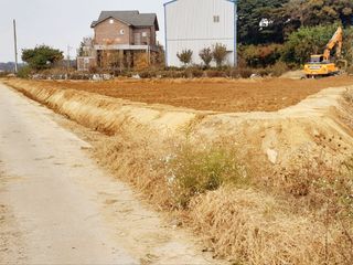 이미옥님의 벼 · 영농일지 작성글 사진