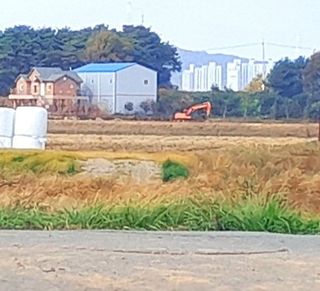 이미옥님의 벼 · 영농일지 작성글 사진